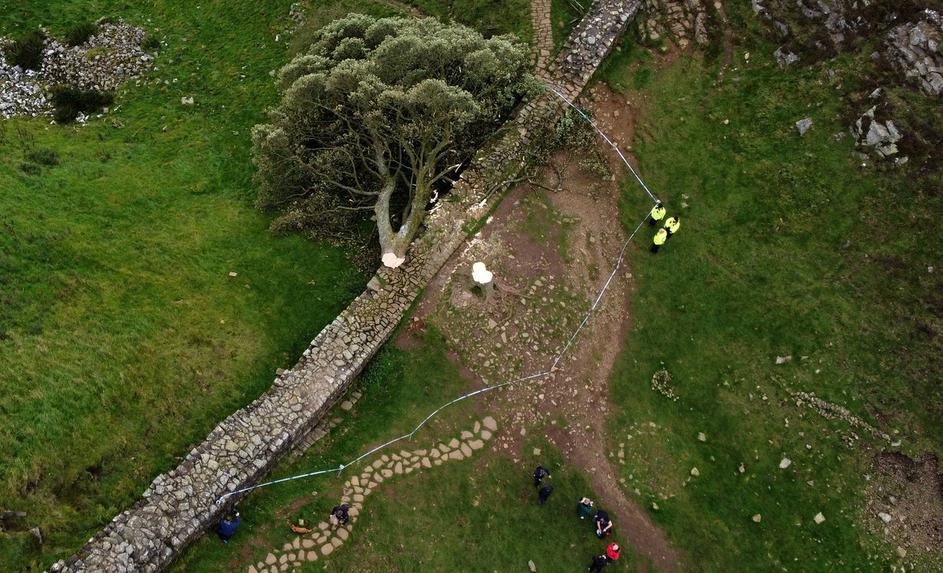 Sycamore Gap