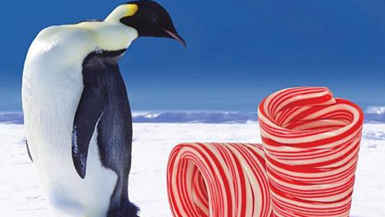 Po uporabi pojej? Brez skrbi, saj je kozarec iz sladkorja.