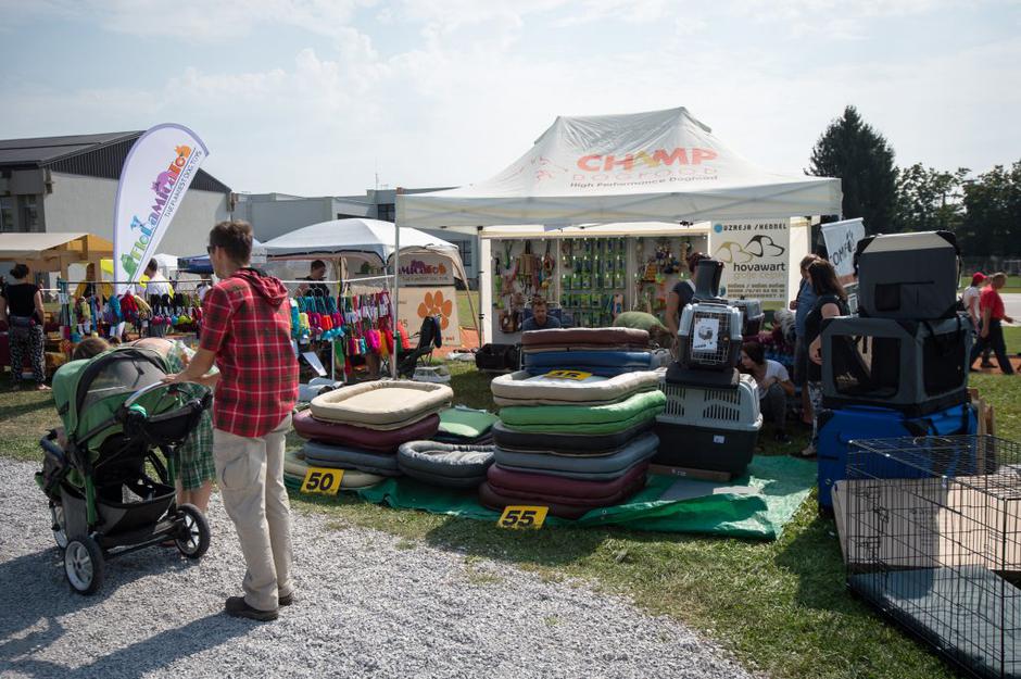 sejem 2016 | Avtor: Anže Petkovšek