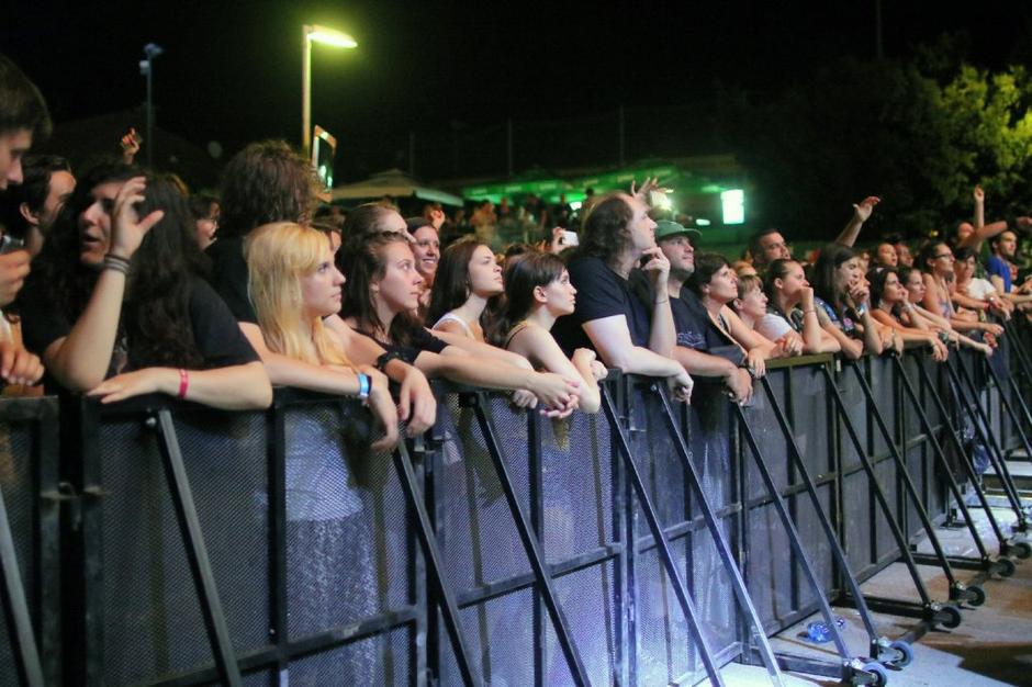 Pivo in cvetje  | Avtor: Gregor Katič