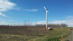 Ena vetrnica prepreči pozebo na 4-5 hektarjih