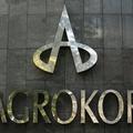 Agrokor