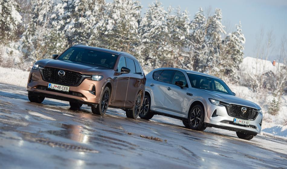 Preizkusili smo pri kupcih prepogosto spregledani vozili