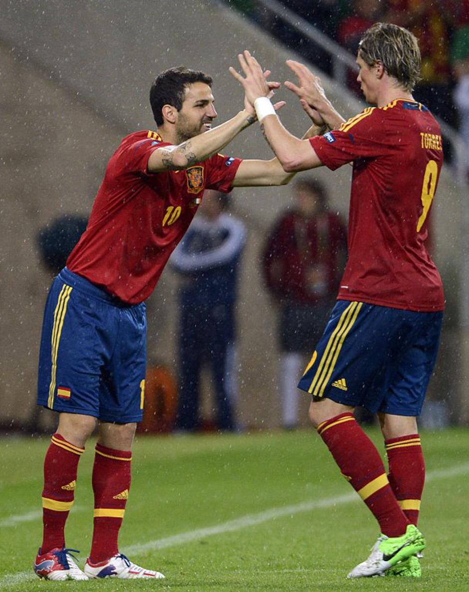 španija irska torres fabregas menjava rezerva Gdansk Euro 2012 | Avtor: EPA