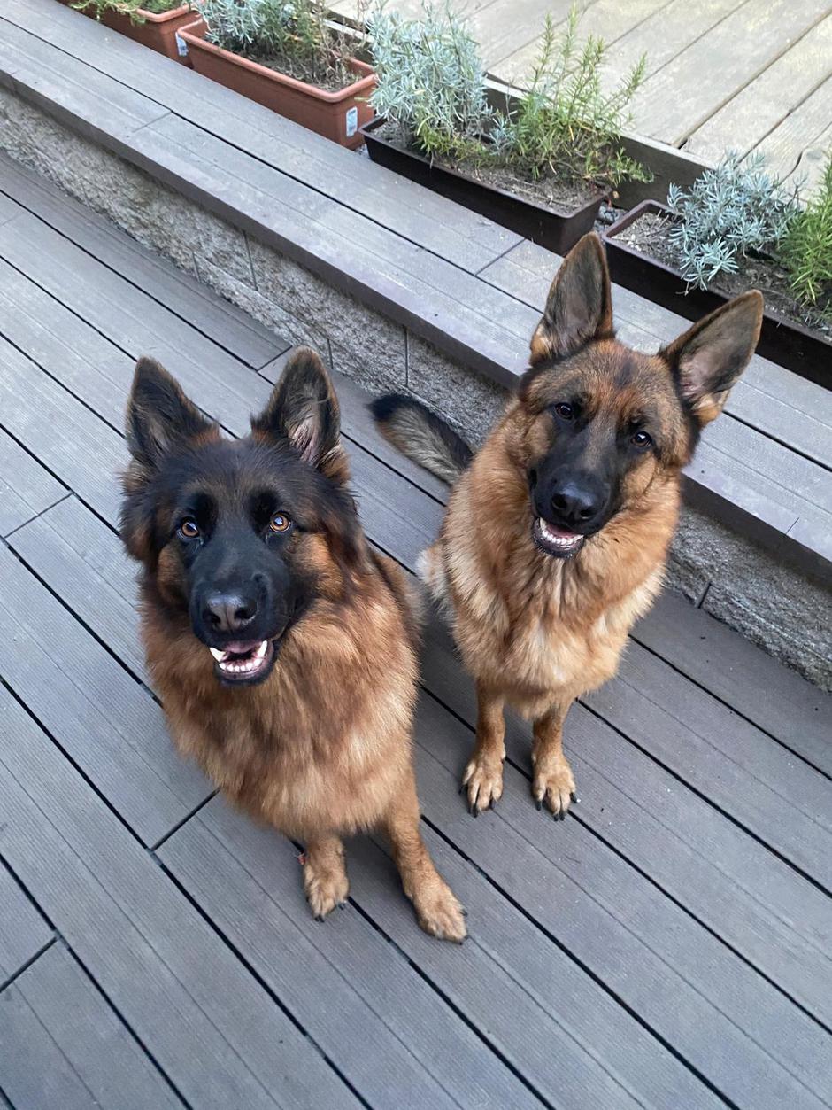 veronika žajdela | Avtor: Osebni arhiv