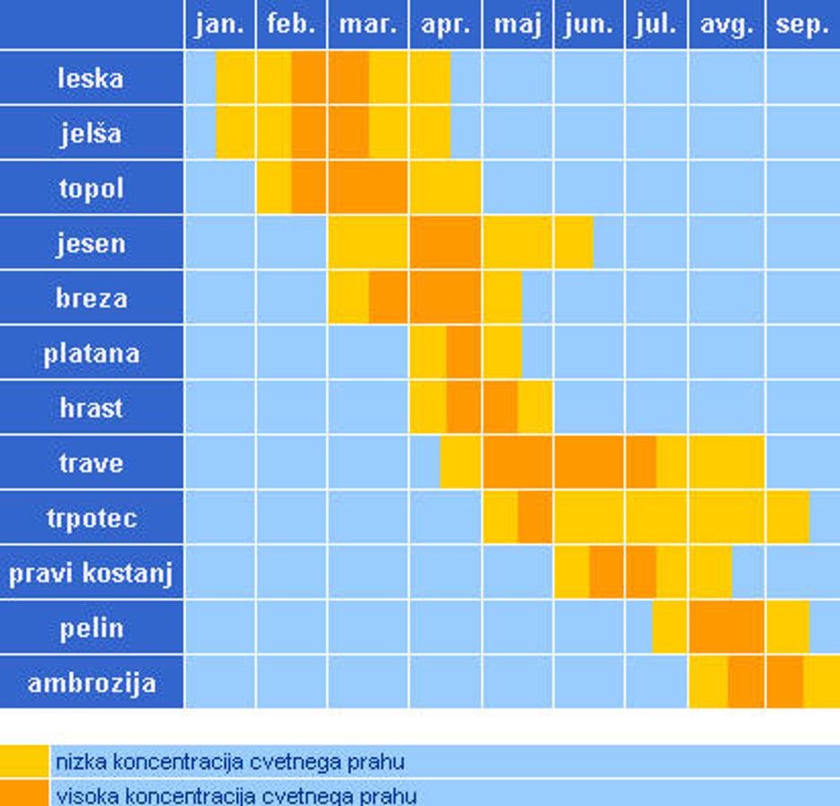  | Avtor: Žurnal24 main