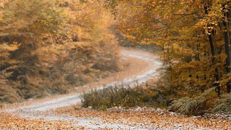 Jeseni bodite na cesti še posebej previdni.