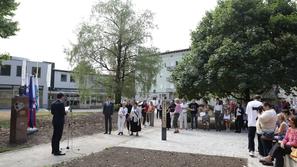 park La ciotat, Kranj, kipi