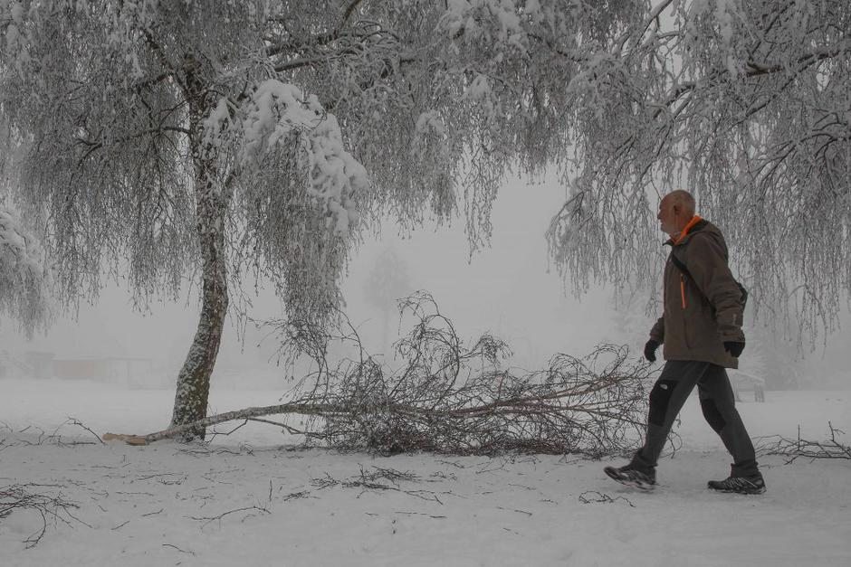 sneg | Avtor: Saša Despot