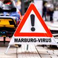 marburg virus