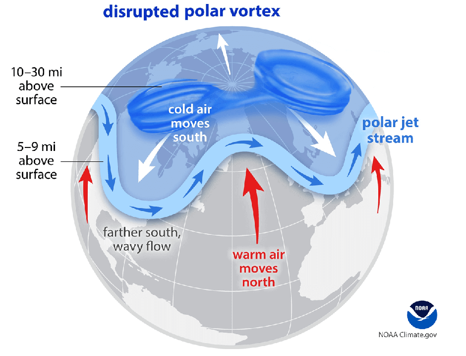 Polarni vrtinec | Avtor: Severe Weather Europe