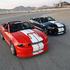 Shelby je predstavil omejeno serijo modela Shelby GT350