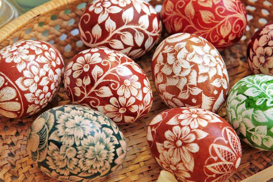 pirhi | Avtor: Profimedia