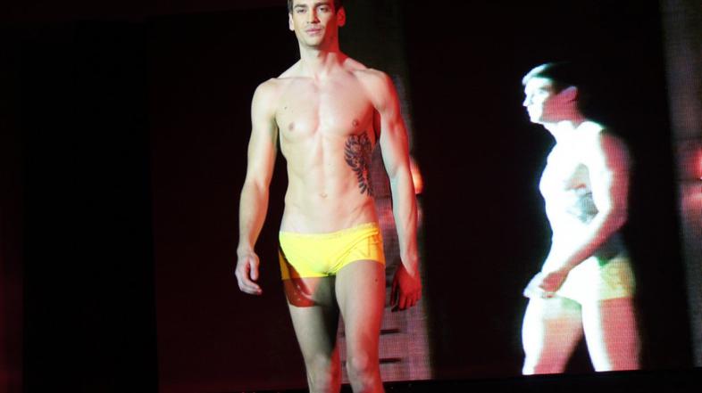 Mister International 2012