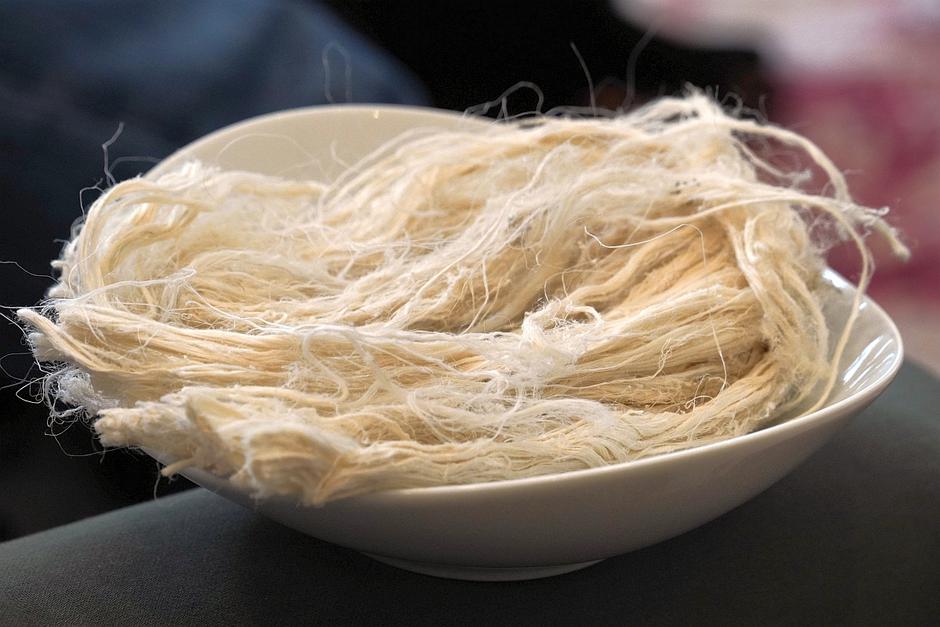 renault embleme | Avtor: Matija_Janežič