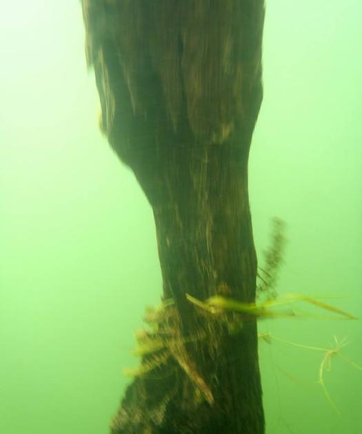 Most v Mršeči vasi