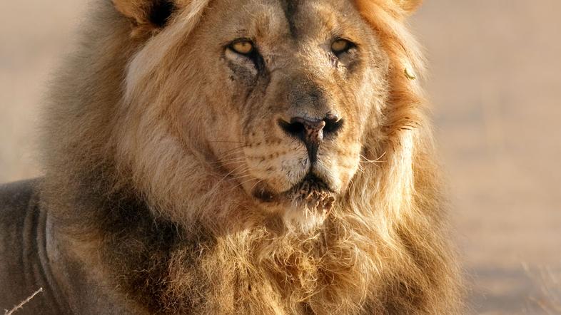 (Foto: Shutterstock)