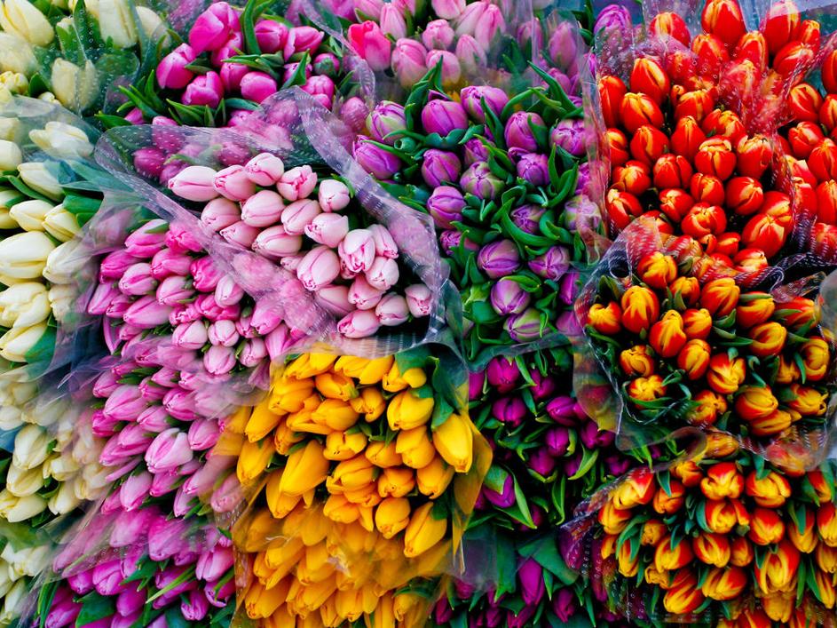 Barvite tržnice Nizozemske
