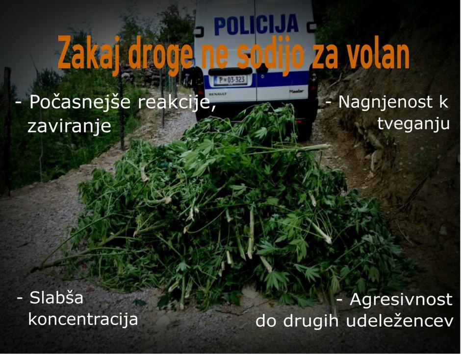 Grafika droge | Avtor: Žurnal24 main
