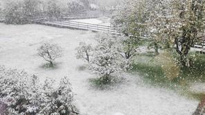 vreme Ljubljana sneg