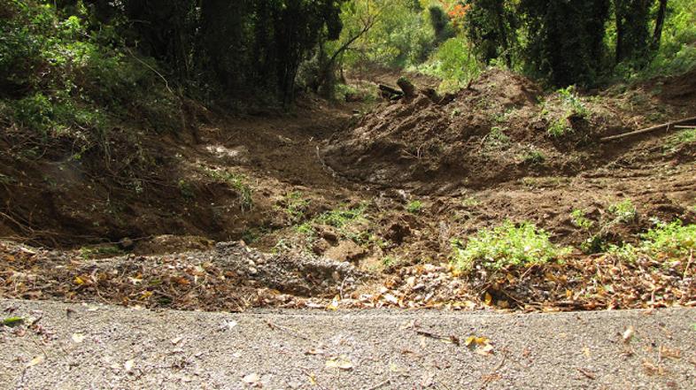 Zemeljski plaz na pobočju Marka nad Šempetrom pri Gorici