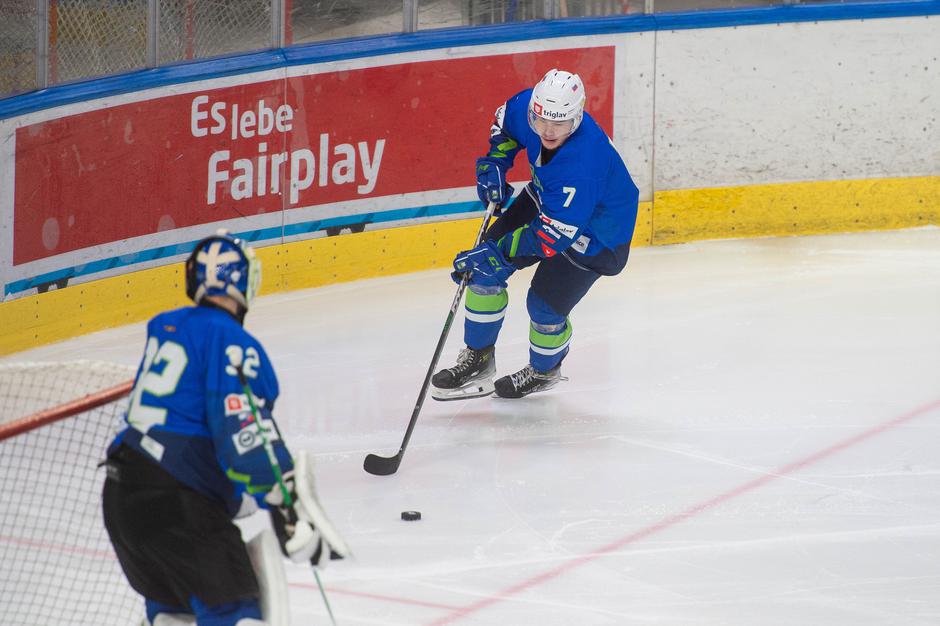 Risi | Avtor: Anže Petkovšek