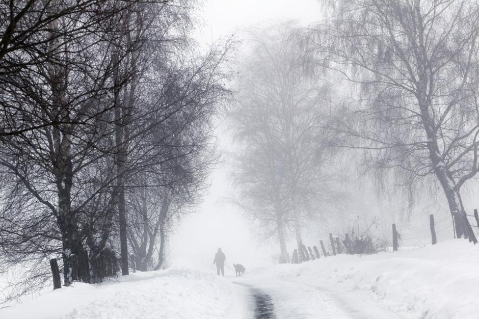 Megla in sneg | Avtor: Profimedias