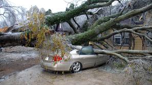 Vetrolom veter neurje podrta drevesa