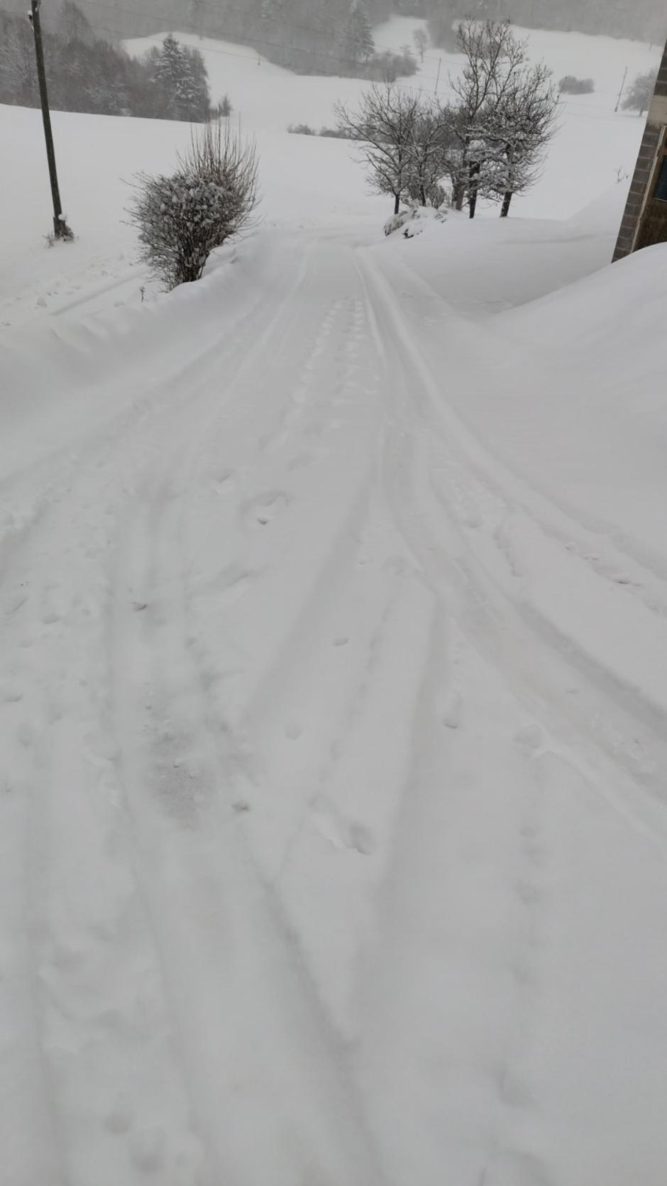 zasnežena pokrajina sneg | Avtor: Žurnal24 