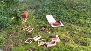 Razdejanje po obisku medveda