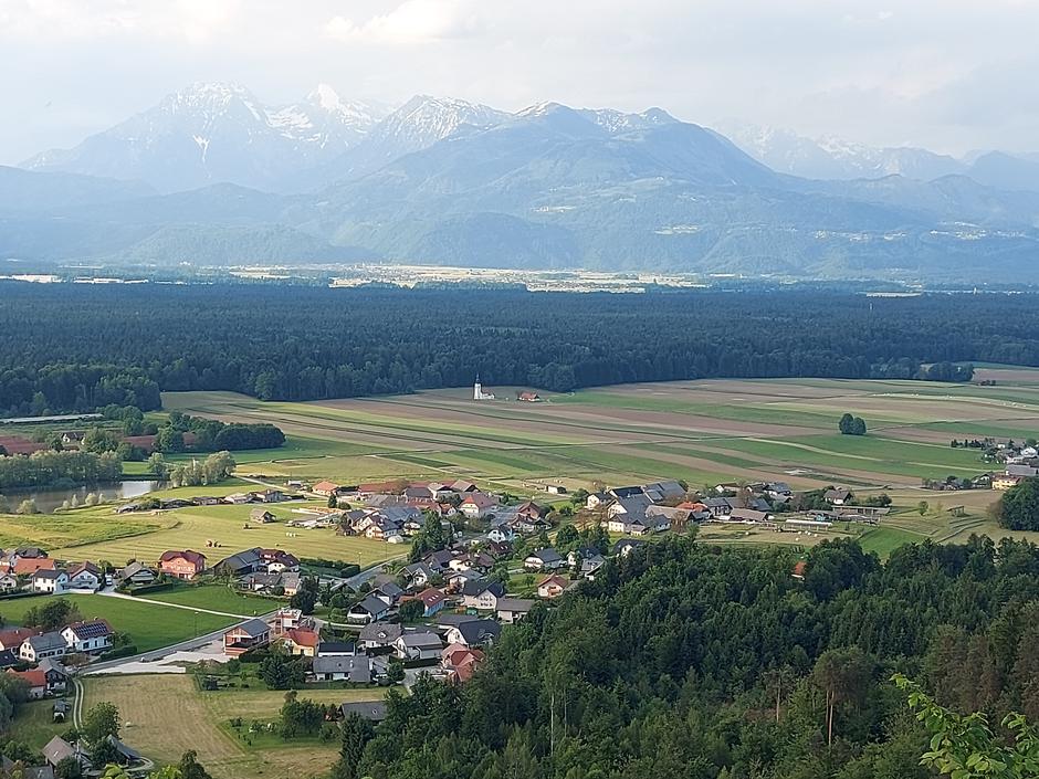 gozd, napad lubadarja | Avtor: M. Ha.