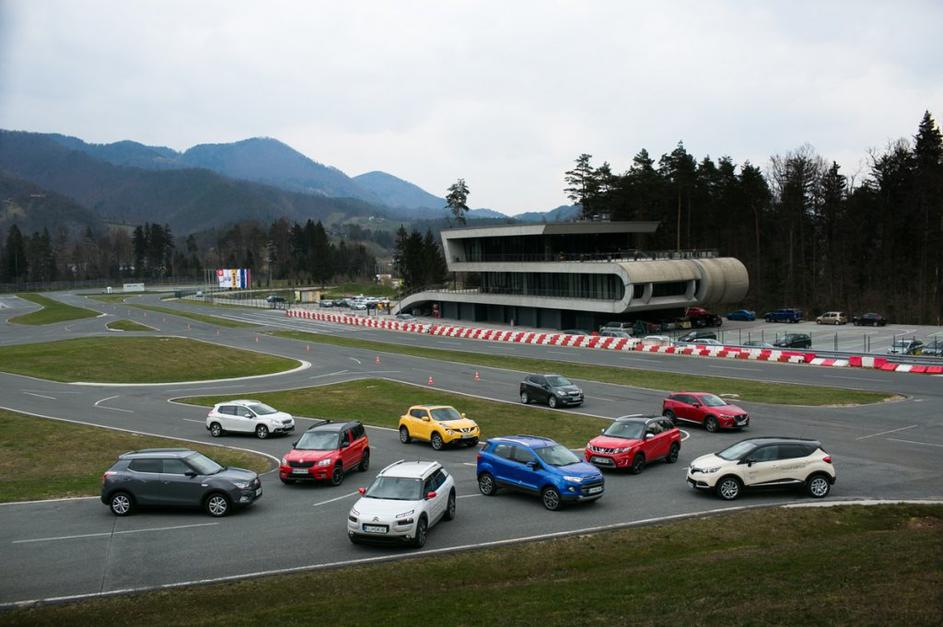 Veliki primerjalni test križancev