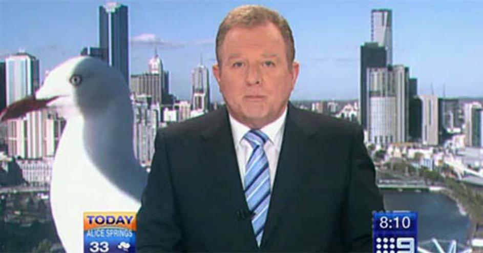 Galebu je v drugo le uspelo priti pred kamero in na male zaslone. @ Skynews