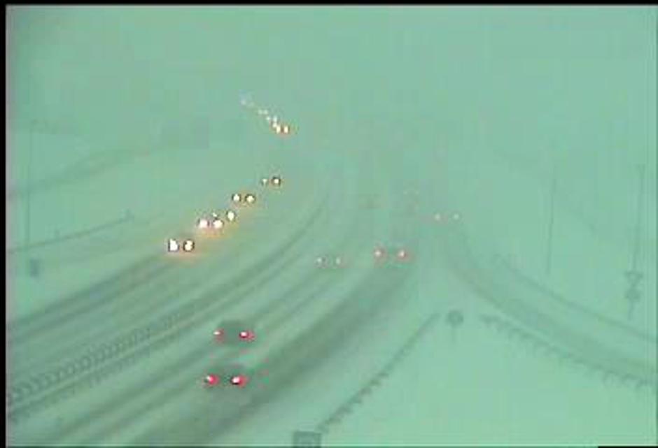 Kronovo | Avtor: PIC