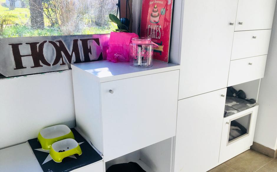 Mačja soba | Avtor: A. Š.