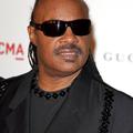 Stevie Wonder