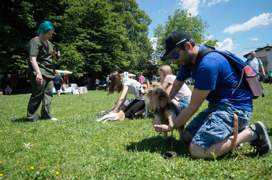 Festival za ljubitelje živali | Avtor: Anže Petkovšek