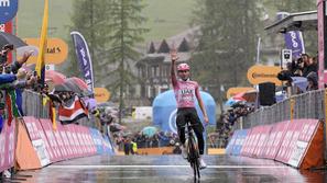 Tadej Pogačar, 16. etapa Giro d'Italia