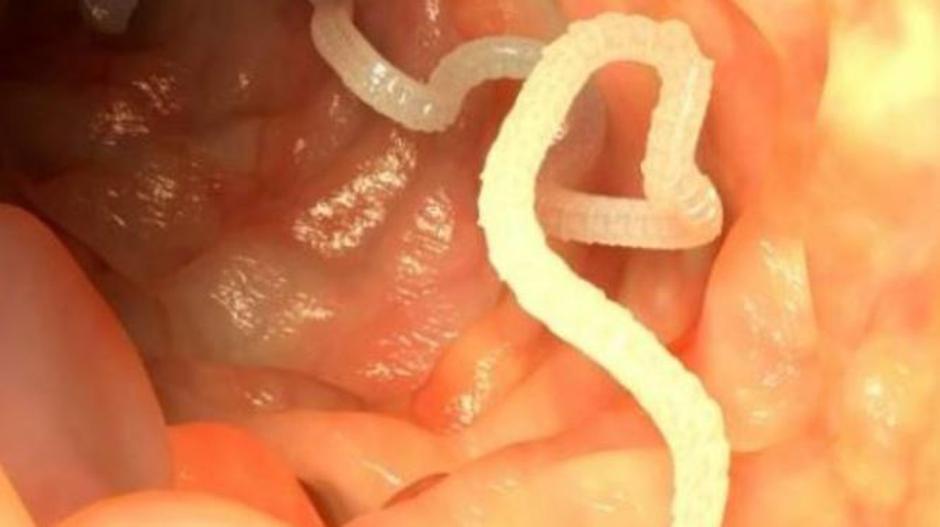 Podančice | Avtor: Profimedia