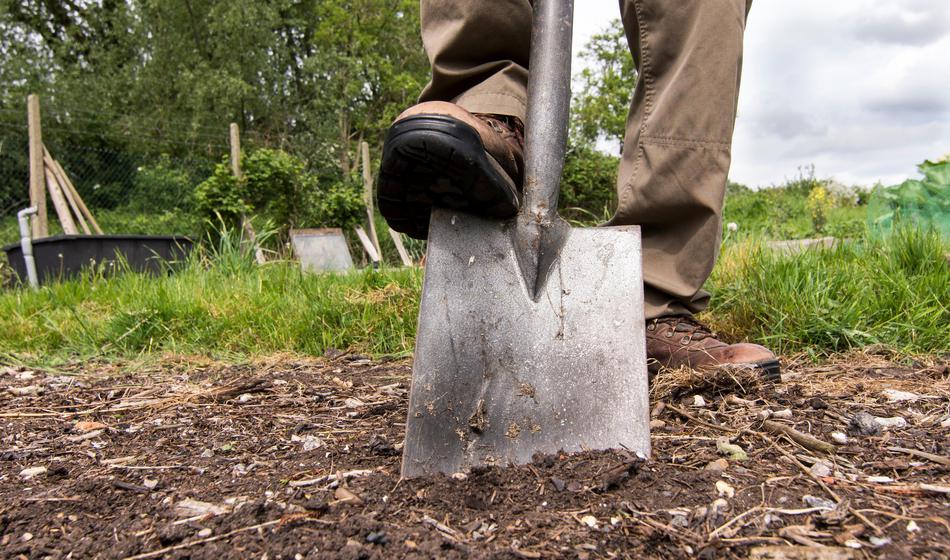 Prekopavali so vrt, čez nekaj minut so bili na kraju policisti