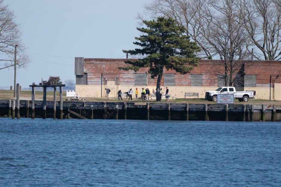 koronavirus ZDA - množično grobišče New York | Avtor: Profimedia