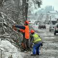 slovenija 05.02.14, zled, led, sneg, zima, naravna katastrofa, zlom drevja, gozd