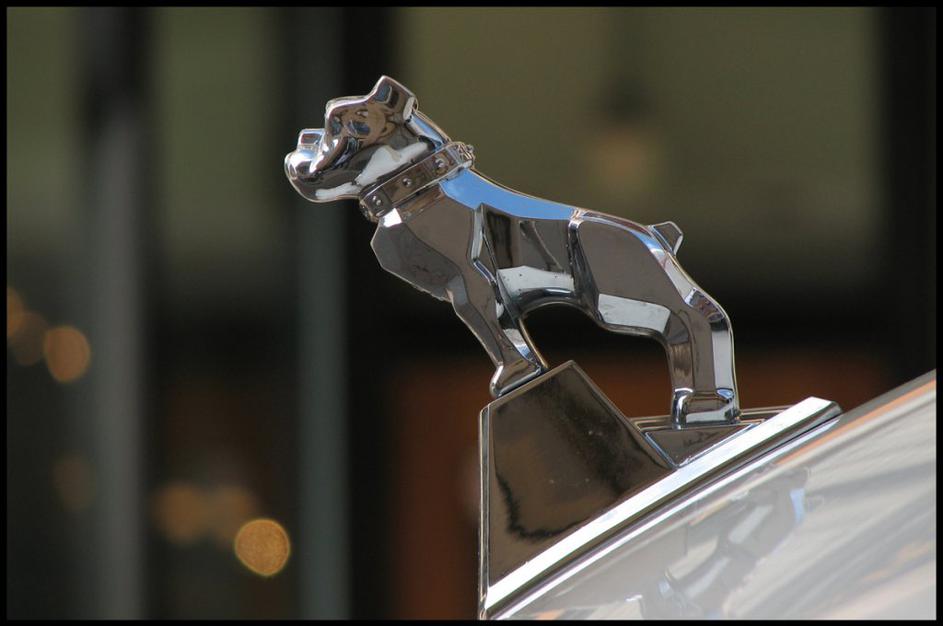 Avtomobilski logotipi