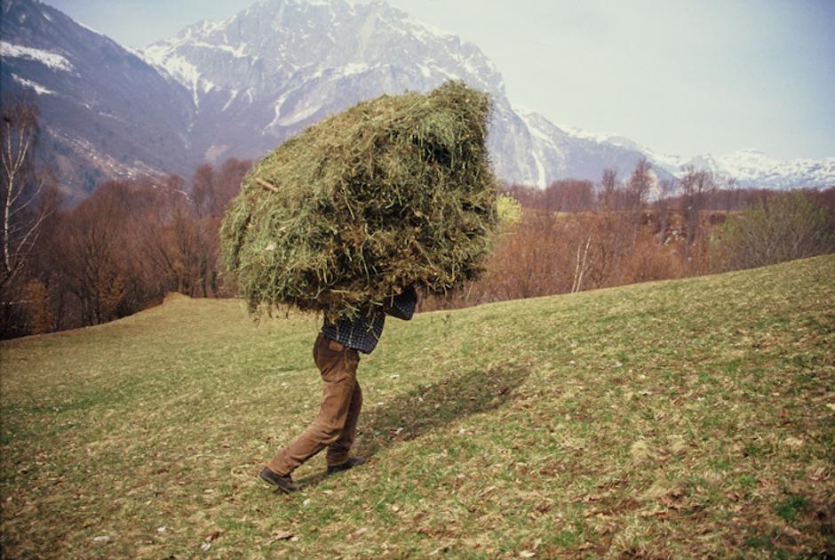 Triglavski narodni park | Avtor: arhiv: JZ TNP