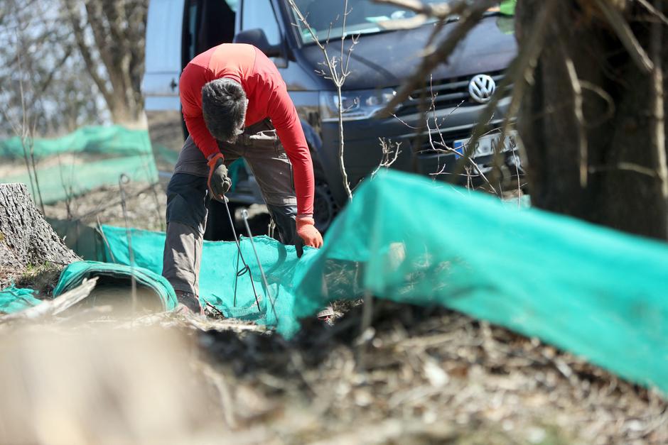 Žabe prehod | Avtor: Profimedia
