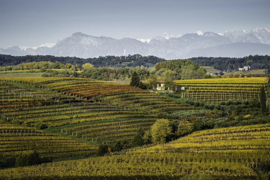 Klet Brda | Avtor: Klet Brda