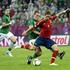 španija irska torres dunne ward gol 2 Gdansk Euro 2012