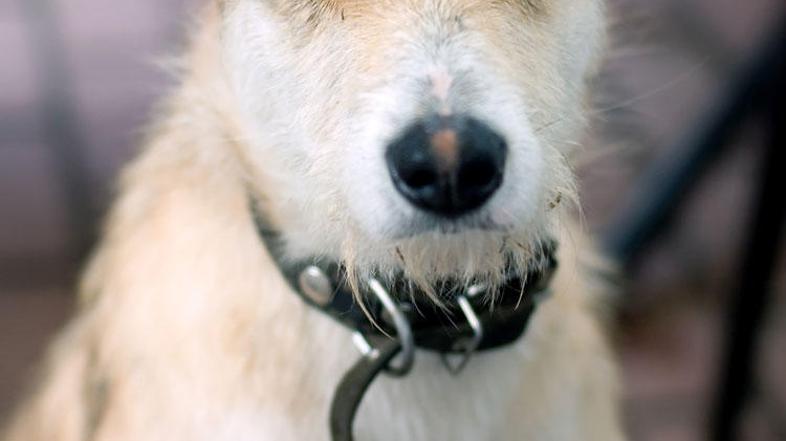 Naj vsi moji prijatelji vidijo, kako sem lep in mladosten! (Foto: Shutterstock)