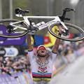 van der poel