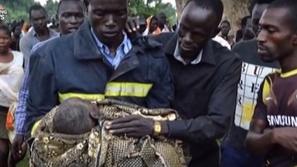 Preživala letalsko nesrečo